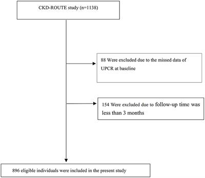 Association Between Urinary Protein-to-Creatinine Ratio and Chronic Kidney Disease Progression: A Secondary Analysis of a Prospective Cohort Study